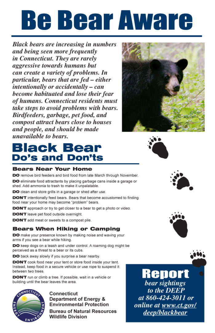 bear-aware-poster