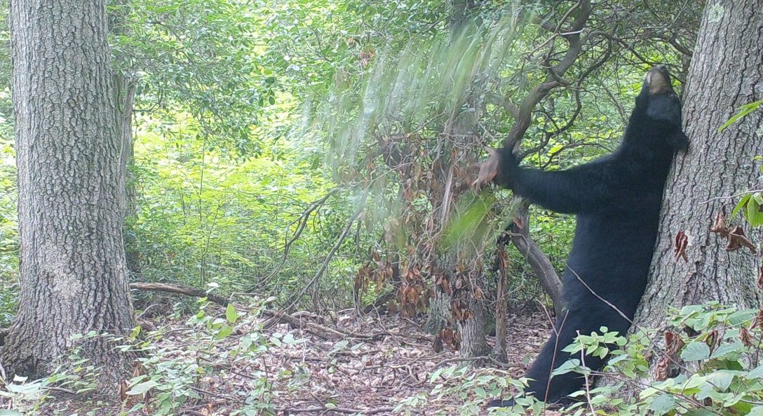 Great Hollow Nature Preserve & Ecological Research Center